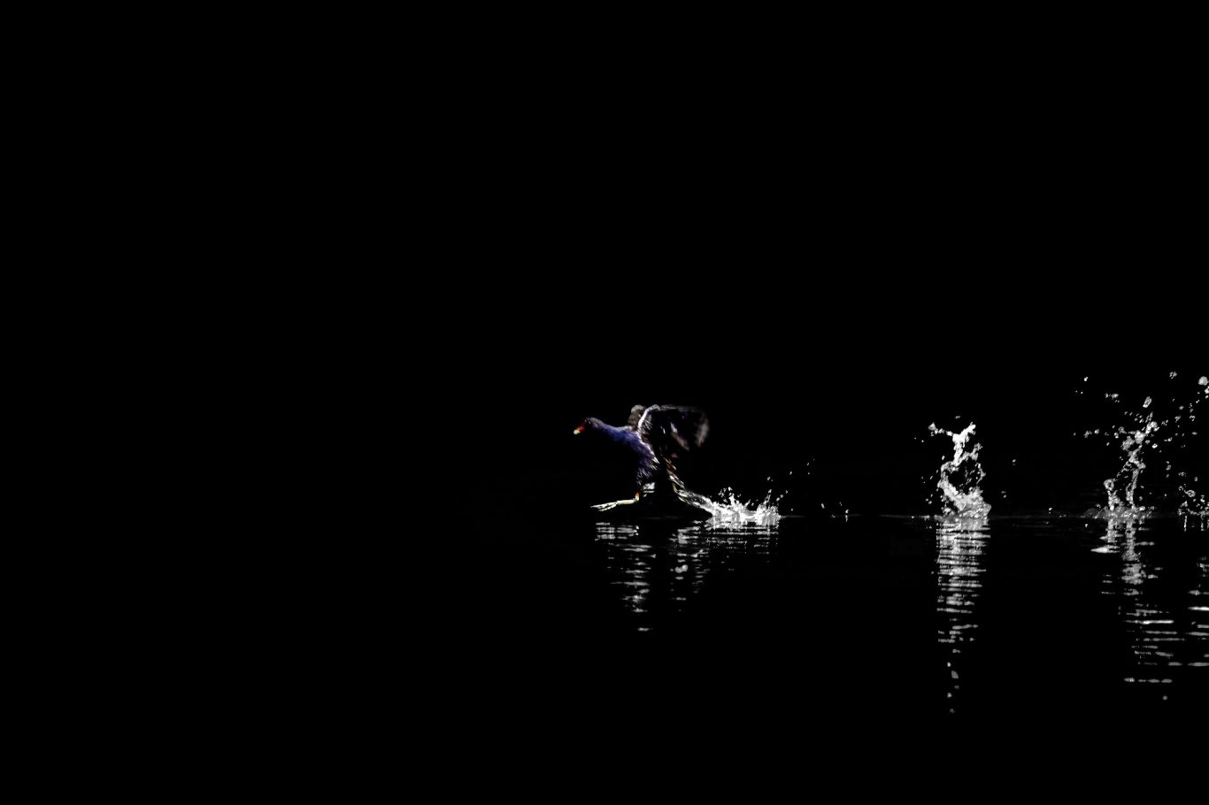 Le grand saut dans l'inconnu